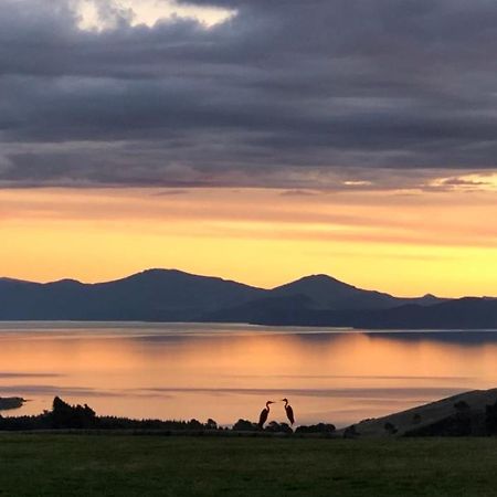 Hilltop Whakaipo Estate Τούπο Εξωτερικό φωτογραφία