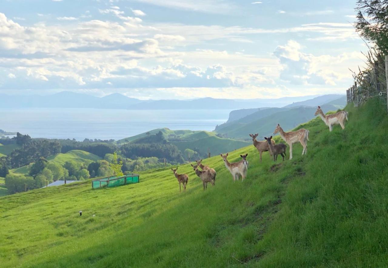 Hilltop Whakaipo Estate Τούπο Εξωτερικό φωτογραφία