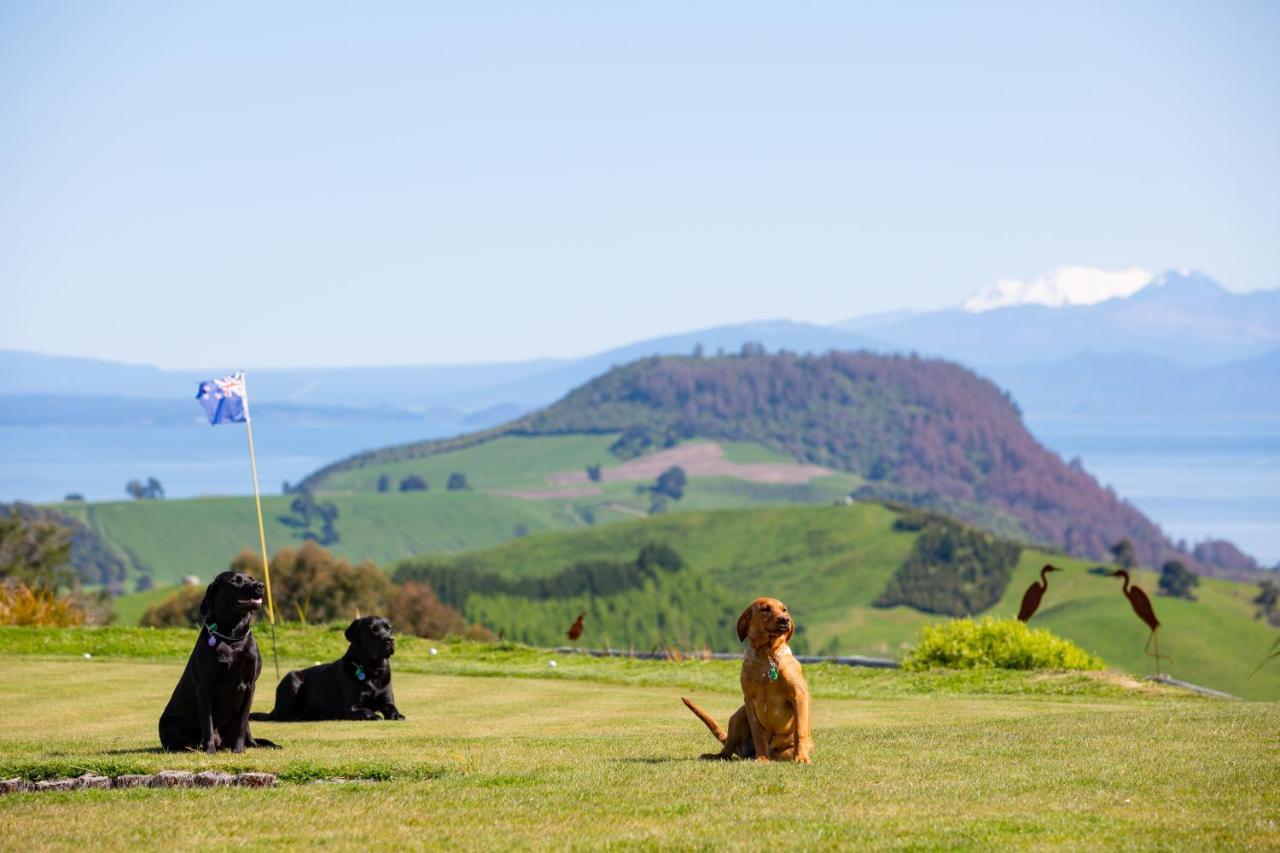 Hilltop Whakaipo Estate Τούπο Εξωτερικό φωτογραφία