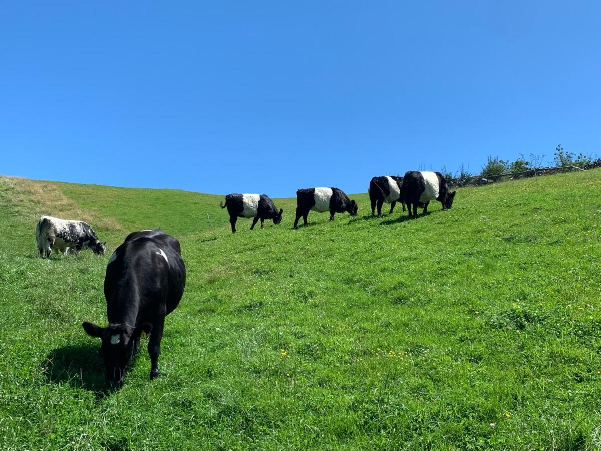 Hilltop Whakaipo Estate Τούπο Εξωτερικό φωτογραφία