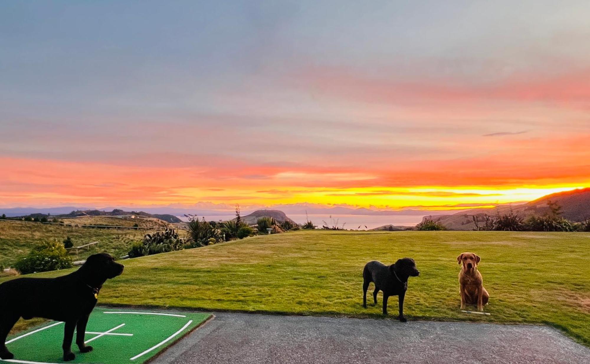 Hilltop Whakaipo Estate Τούπο Εξωτερικό φωτογραφία