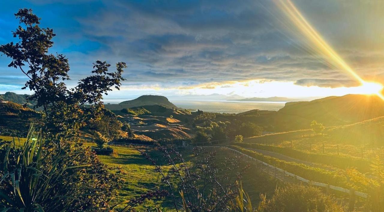 Hilltop Whakaipo Estate Τούπο Εξωτερικό φωτογραφία