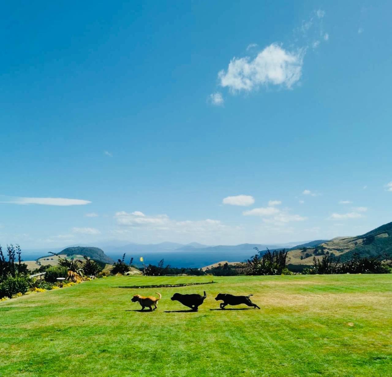 Hilltop Whakaipo Estate Τούπο Εξωτερικό φωτογραφία